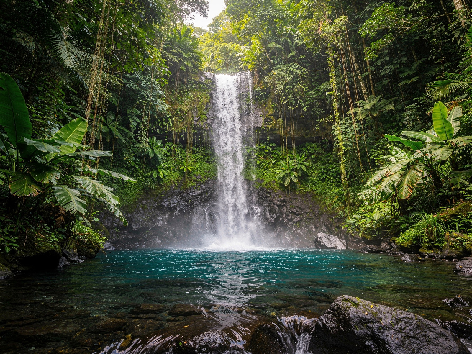 Dominica program imagery