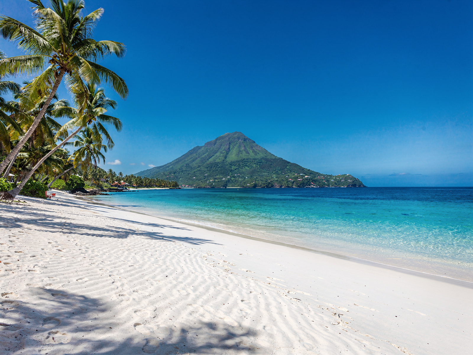 Saint Kitts & Nevis program imagery